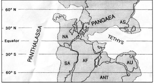 Figure 1. Pangaea and Panthalassa: a reconstruction 220 Myr ago during the Trias (from Van Andel 1996).